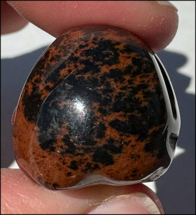 Small Mahogany Obsidian CRYSTAL SKULL - Strength, Courage