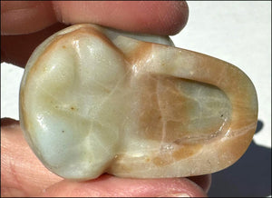 Peruvian BLUE OPAL Crystal Skull with Small VUGS - Creativity, Communication