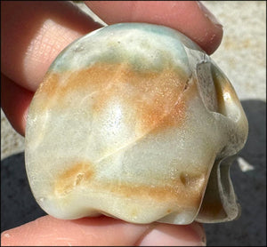 Peruvian BLUE OPAL Crystal Skull with Small VUGS - Creativity, Communication