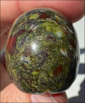 Dragon's Blood Jasper CRYSTAL SKULL - Enhance Emotional+Spiritual Growth