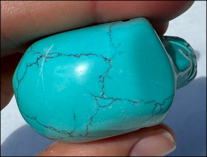 Sky Blue Turquoise HOWLITE Crystal Skull - with Synergy 7+ yrs