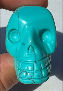 Sky Blue Turquoise HOWLITE Crystal Skull - with Synergy 7+ yrs