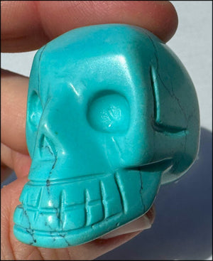 Sky Blue Turquoise HOWLITE Crystal Skull - with Synergy 7+ yrs