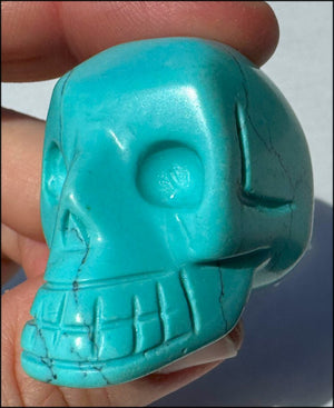 Sky Blue Turquoise HOWLITE Crystal Skull - with Synergy 7+ yrs
