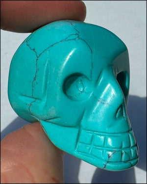 Sky Blue Turquoise HOWLITE Crystal Skull - with Synergy 7+ yrs