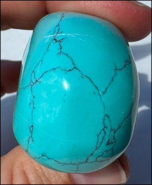 Sky Blue Turquoise HOWLITE Crystal Skull - with Synergy 7+ yrs