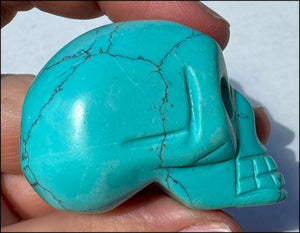Sky Blue Turquoise HOWLITE Crystal Skull - with Synergy 7+ yrs