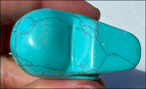 Sky Blue Turquoise HOWLITE Crystal Skull - with Synergy 7+ yrs