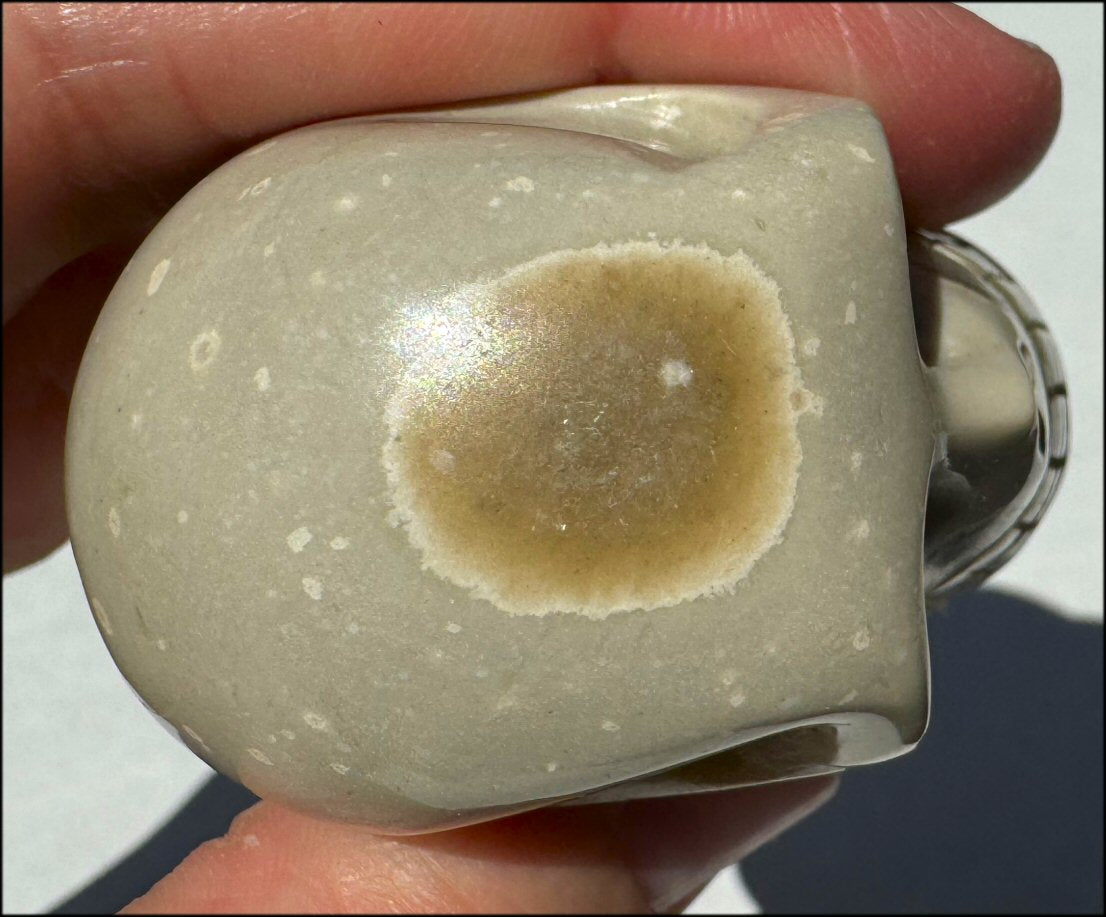 Banded Aragonite CRYSTAL SKULL - Grounding, Decrease stress - with Synergy 8+ yrs