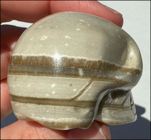 Banded Aragonite CRYSTAL SKULL - Grounding, Decrease stress - with Synergy 8+ yrs