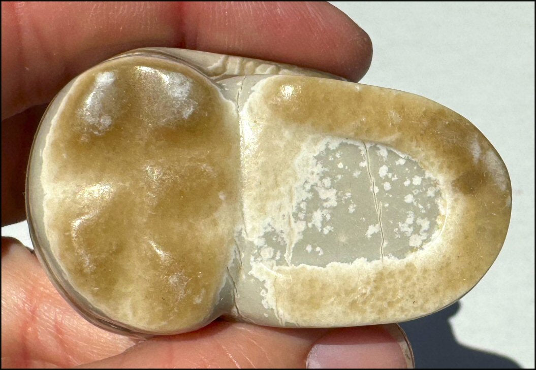 Banded Aragonite CRYSTAL SKULL - Grounding, Decrease stress - with Synergy 8+ yrs
