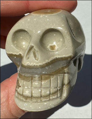 Banded Aragonite CRYSTAL SKULL - Grounding, Decrease stress - with Synergy 8+ yrs