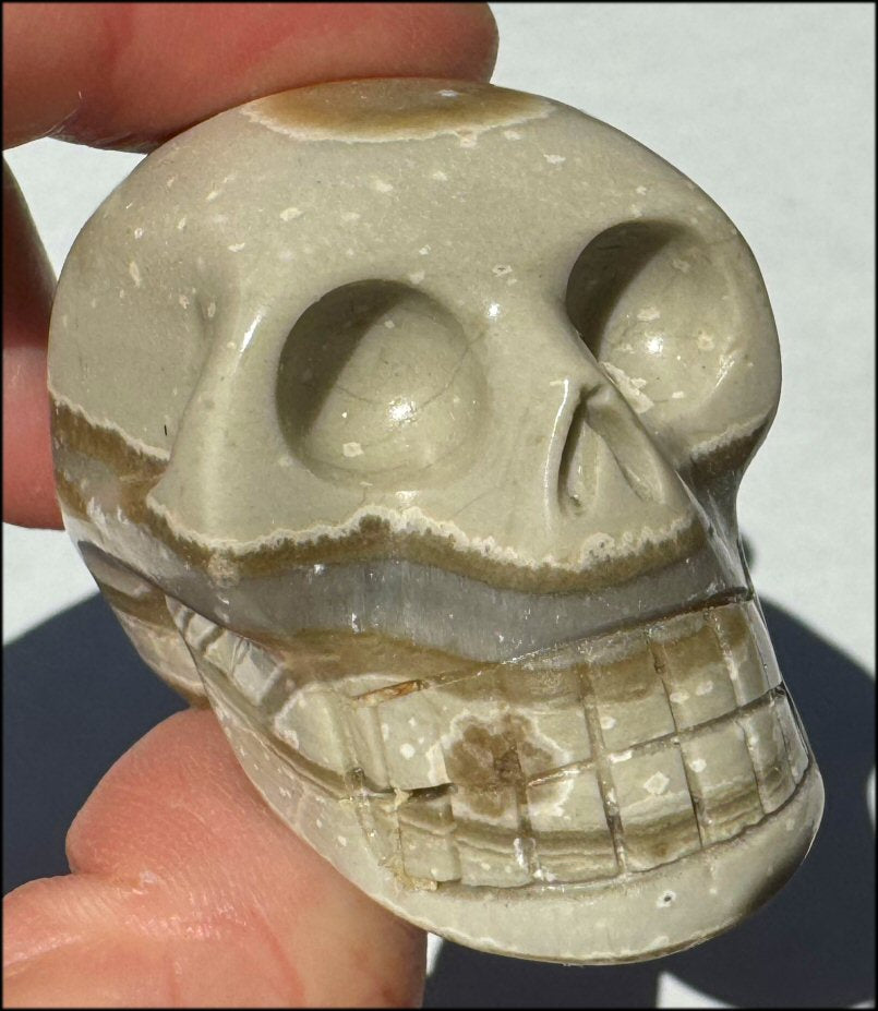 Banded Aragonite CRYSTAL SKULL - Grounding, Decrease stress - with Synergy 8+ yrs