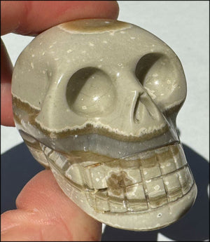 Banded Aragonite CRYSTAL SKULL - Grounding, Decrease stress - with Synergy 8+ yrs