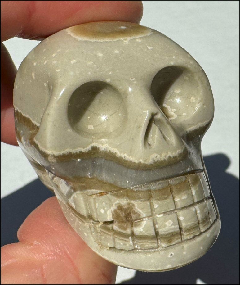 Banded Aragonite CRYSTAL SKULL - Grounding, Decrease stress - with Synergy 8+ yrs