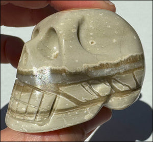 Banded Aragonite CRYSTAL SKULL - Grounding, Decrease stress - with Synergy 8+ yrs