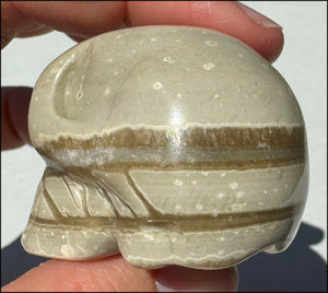 Banded Aragonite CRYSTAL SKULL - Grounding, Decrease stress - with Synergy 8+ yrs