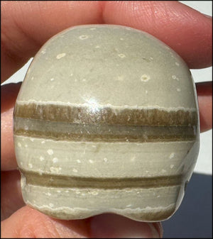 Banded Aragonite CRYSTAL SKULL - Grounding, Decrease stress - with Synergy 8+ yrs