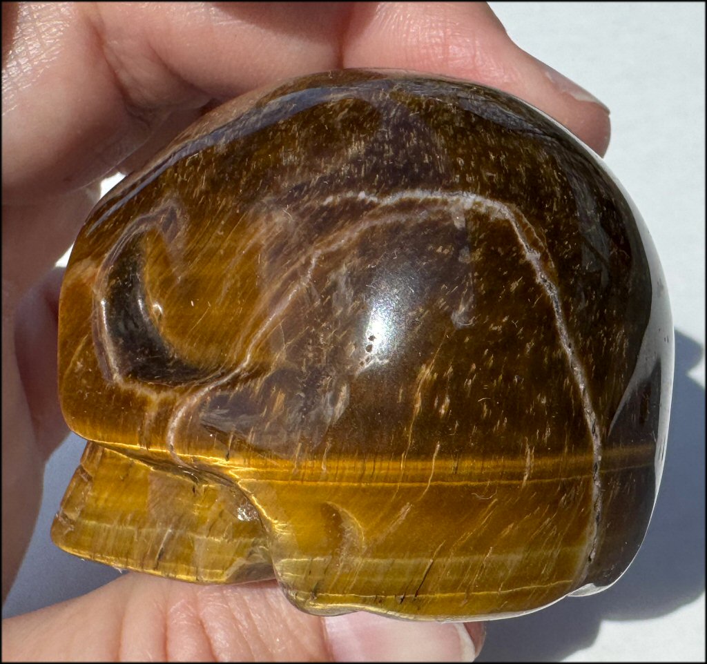 Golden Tiger Eye CRYSTAL SKULL with Hematite inclusions - with Synergy 15+ years