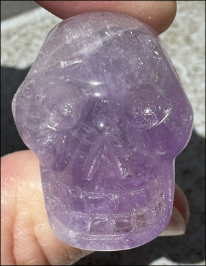 Small AMETHYST Crystal Skull with Rainbows - Divination - with Synergy 8+ yrs