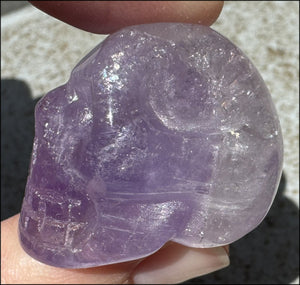 Small AMETHYST Crystal Skull with Rainbows - Divination - with Synergy 8+ yrs