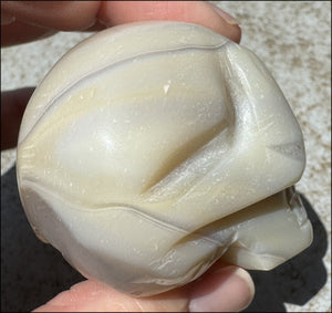 Agate Crystal Skull w/ Cool Lg. VUG - Harmony, Connect with Mother Earth