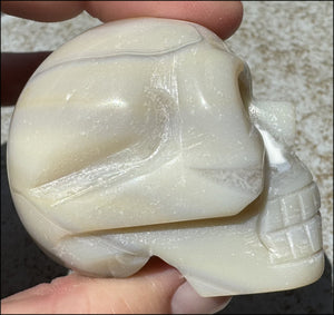 Agate Crystal Skull w/ Cool Lg. VUG - Harmony, Connect with Mother Earth