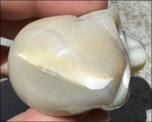 Agate Crystal Skull w/ Cool Lg. VUG - Harmony, Connect with Mother Earth