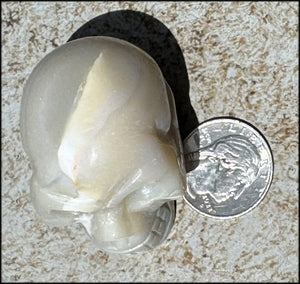 Agate Crystal Skull w/ Cool Lg. VUG - Harmony, Connect with Mother Earth