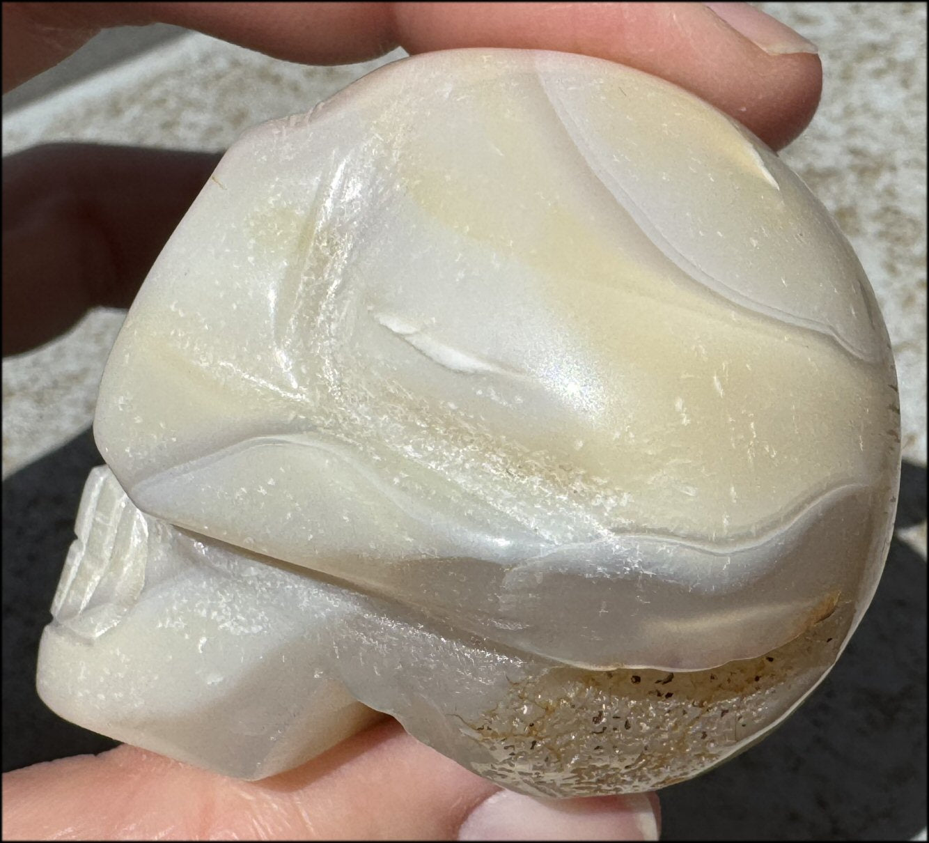 Agate Crystal Skull w/ Cool Lg. VUG - Harmony, Connect with Mother Earth