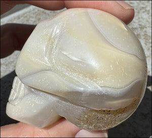 Agate Crystal Skull w/ Cool Lg. VUG - Harmony, Connect with Mother Earth