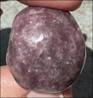 Small LEPIDOLITE Crystal Skull - AKA Lavenderine - Relaxation, Optimism