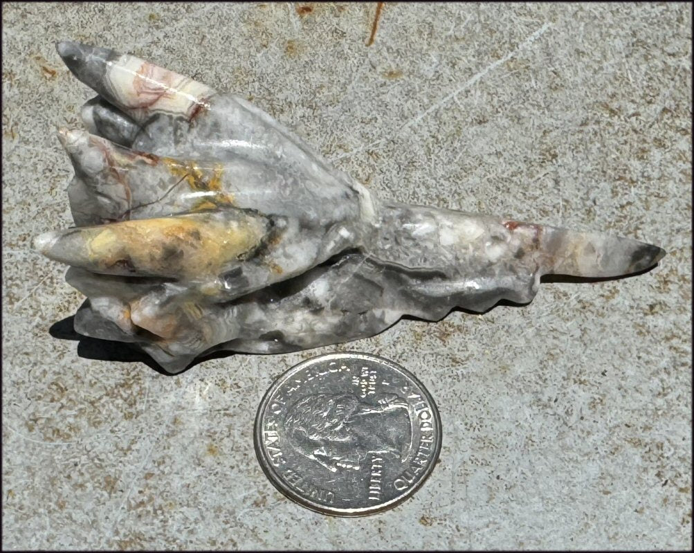 Crazy Lace Agate PHOENIX Crystal Skull - Divination, Focus