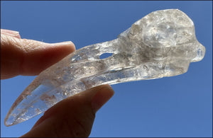 Lg. Light SMOKY QUARTZ Raven Crystal Skull with Shimmery Rainbows