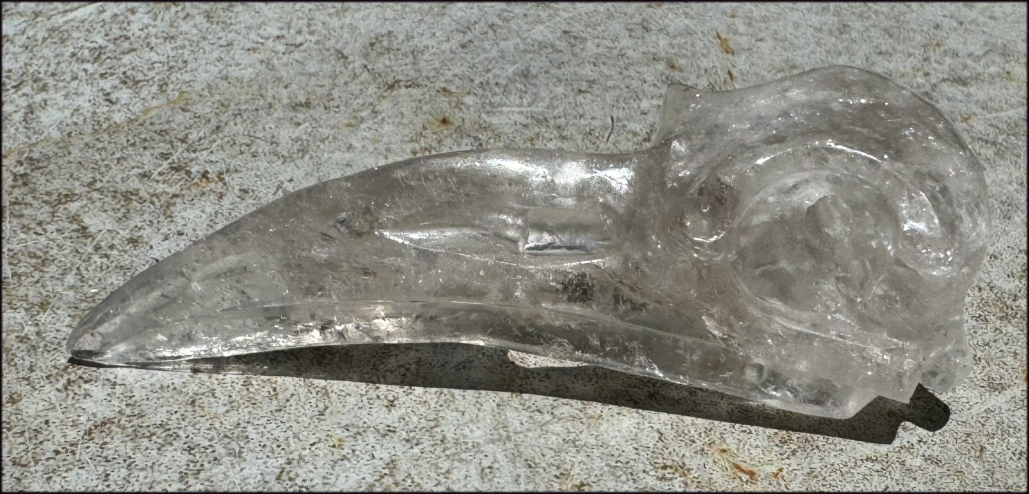 Lg. Light SMOKY QUARTZ Raven Crystal Skull with Shimmery Rainbows
