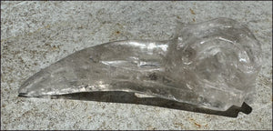 Lg. Light SMOKY QUARTZ Raven Crystal Skull with Shimmery Rainbows