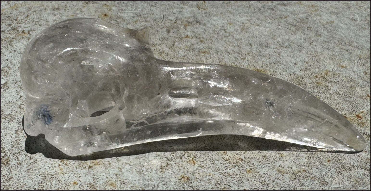 Lg. Light SMOKY QUARTZ Raven Crystal Skull with Shimmery Rainbows