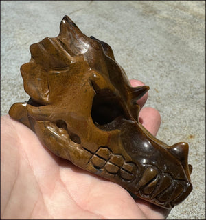Golden Tiger Eye DRAGON Crystal Skull - Prosperity, Let go of judgments