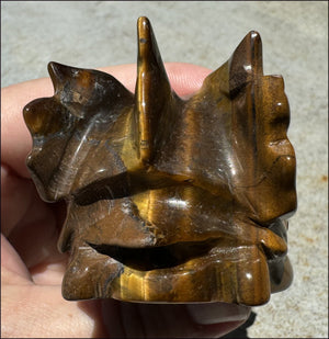 Golden Tiger Eye DRAGON Crystal Skull - Prosperity, Let go of judgments