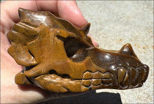 Golden Tiger Eye DRAGON Crystal Skull - Prosperity, Let go of judgments