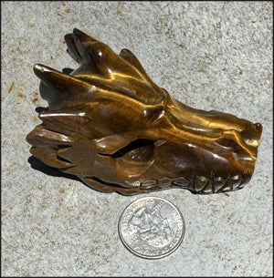 Golden Tiger Eye DRAGON Crystal Skull - Prosperity, Let go of judgments
