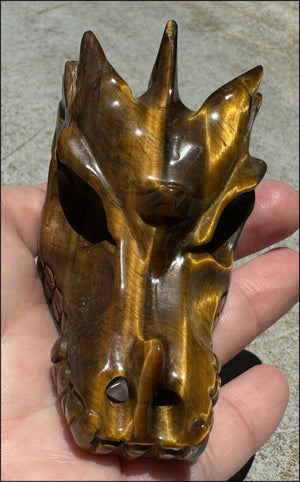 Golden Tiger Eye DRAGON Crystal Skull - Prosperity, Let go of judgments