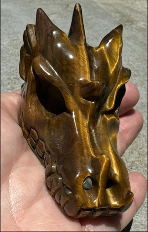 Golden Tiger Eye DRAGON Crystal Skull - Prosperity, Let go of judgments