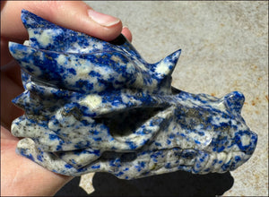 XL Lapis Lazuli DRAGON Crystal Skull with Sparkly PYRITE - 3/4lb