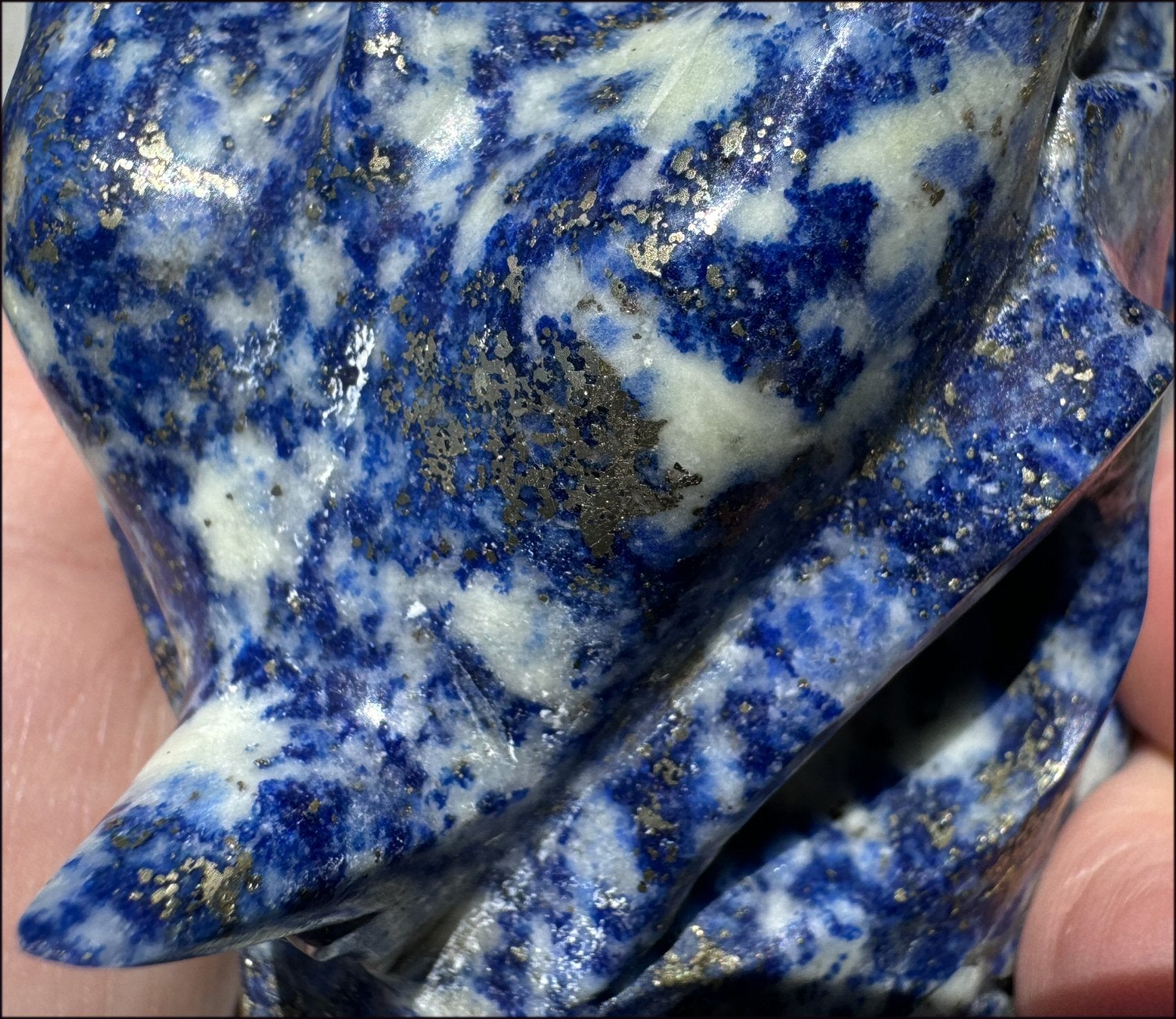 XL Lapis Lazuli DRAGON Crystal Skull with Sparkly PYRITE - 3/4lb