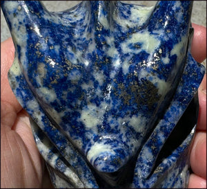 XL Lapis Lazuli DRAGON Crystal Skull with Sparkly PYRITE - 3/4lb