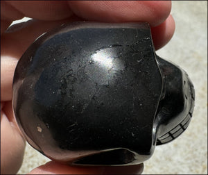 ~Rare!~ SHUNGITE Crystal Skull - Vitality, Grounding - with Synergy 5+ yrs