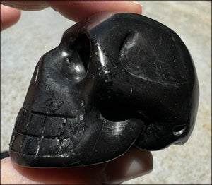 ~Rare!~ SHUNGITE Crystal Skull - Vitality, Grounding - with Synergy 5+ yrs