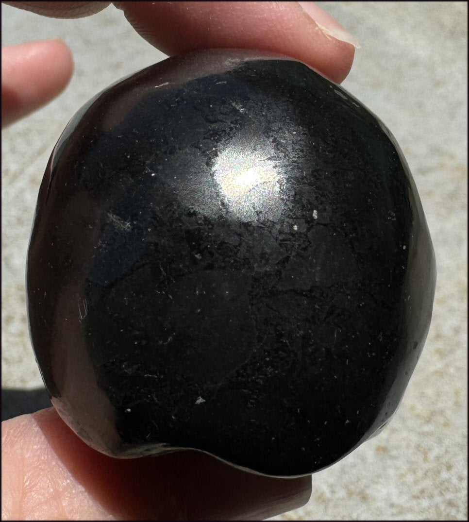 ~Rare!~ SHUNGITE Crystal Skull - Vitality, Grounding - with Synergy 5+ yrs