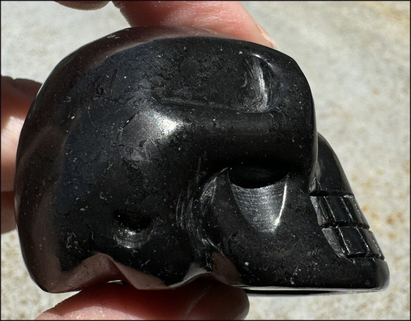 ~Rare!~ SHUNGITE Crystal Skull - Vitality, Grounding - with Synergy 5+ yrs